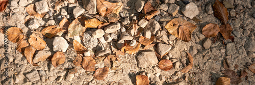 Stony footpath with dry leaves in autumn. Panoramic image