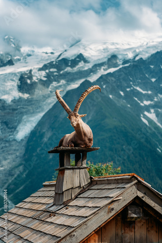 Ibex goat relaxing on a house chimney