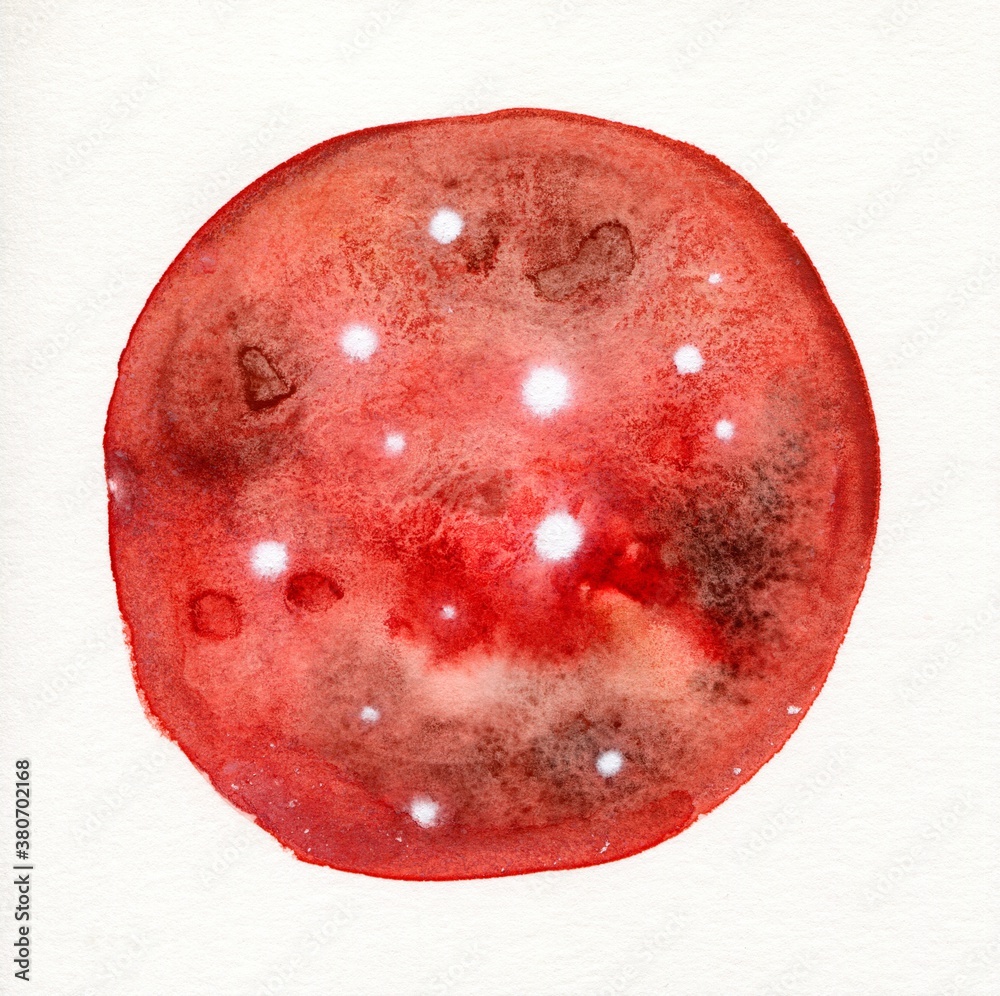 Abstract red circle watercolor art isolated on white paper Abstract red circle watercolor art isolated on white paper
