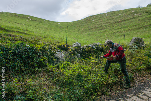 Man picking blackberries photo