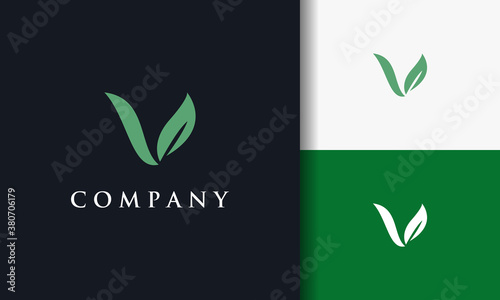 leaf letter V logo