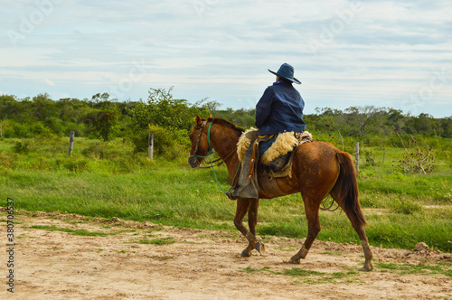 Gaucho riding on farm in the Chaco, Paraguay 
