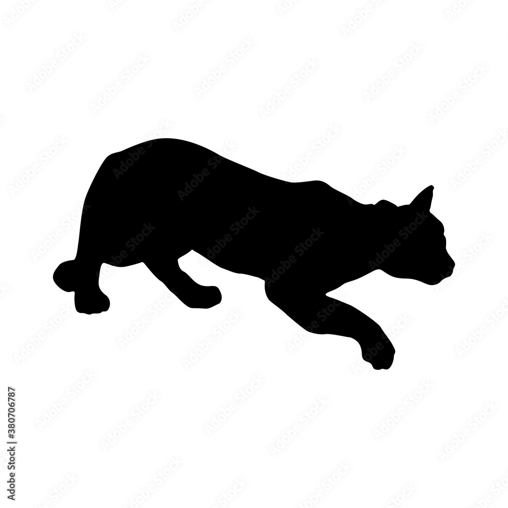 Walking Mountain Lion (Felis Concolor) On a Side View Silhouette Found In Map Of Central, North And South America. Good To Use For Element Print Book, Animal Book and Animal Content