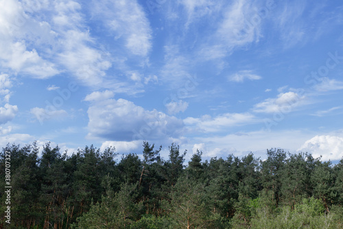 Dramatic stormy cumulus clouds above the top of the forest trees.