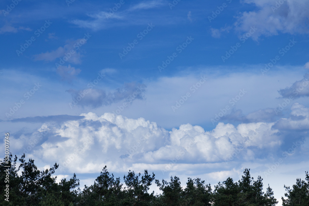 Dramatic stormy cumulus clouds above the top of the forest trees. Dramatic stormy cumulus clouds above the top of the forest trees.
