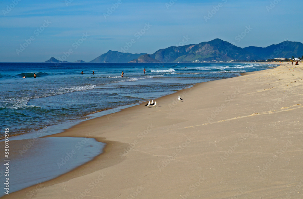 Seagulls on Barra da Tijuca Beach, Rio de Janeiro