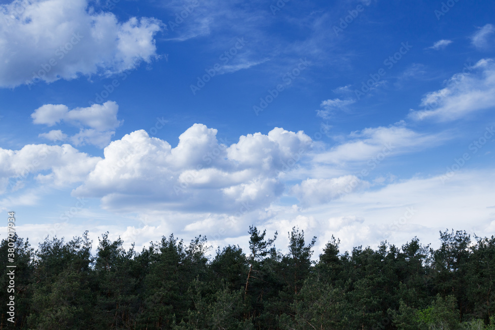 Dramatic stormy cumulus clouds above the top of the forest trees. Dramatic stormy cumulus clouds above the top of the forest trees.