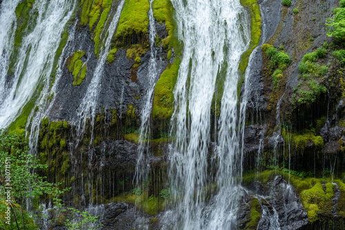 Landscape of waterfall on moss-covered stone wall in the Pacific Northwest