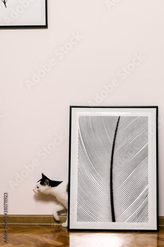 Photographs ready to be hanged on a freshly drilled wall