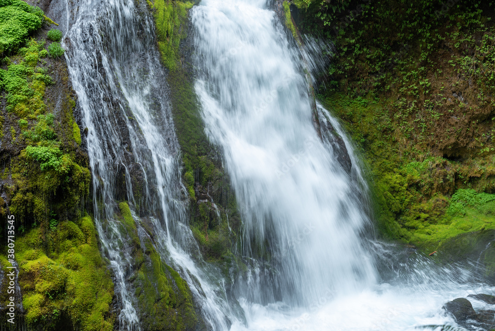 waterfall in the forest