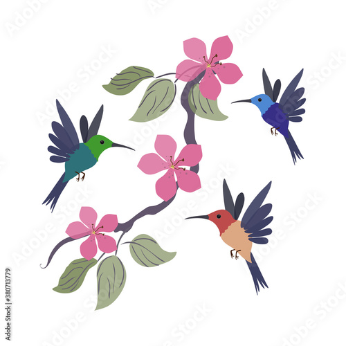 Three colored hummingbirds and a branch and with flowers.