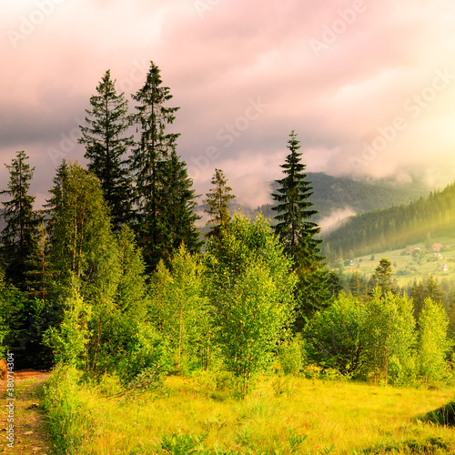 mountain autumn landscape with colorful forest.