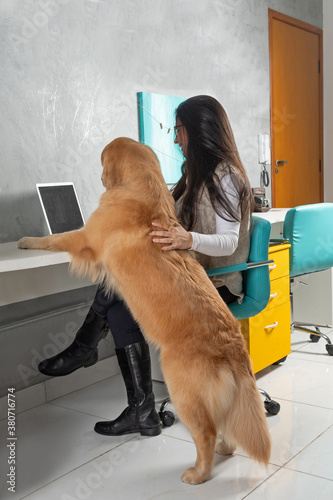 woman working with a golden dog at the office