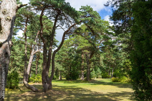 Botanical Park in Palanga  Lithuania