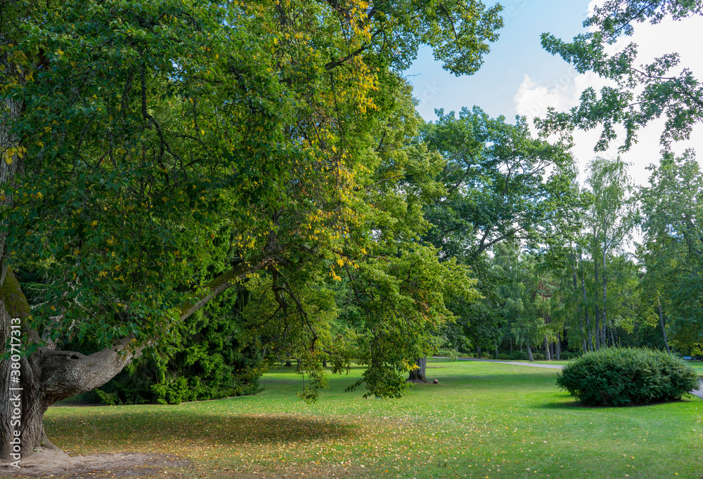 Naklejka premium Botanical Park in Palanga, Lithuania