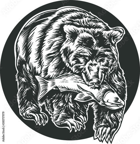grizzly bear holding fish in teeth stripe logo engraving style vector