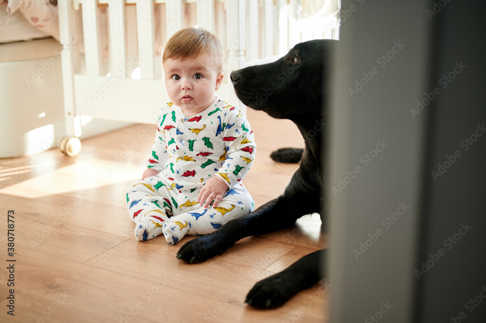 Baby and dog on floor at home Baby and dog on floor at home