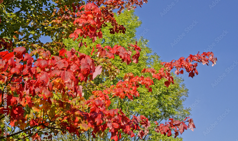 Herbstfarben Herbstfarben