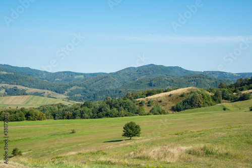 Geen valley with a sky. Landscape in the summer