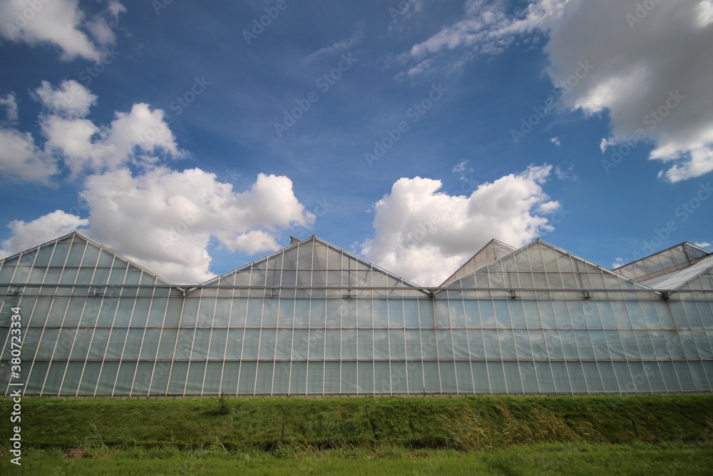 Cumulus clouds in blue sky in the Zuidplaspolder Cumulus clouds in blue sky in the Zuidplaspolder