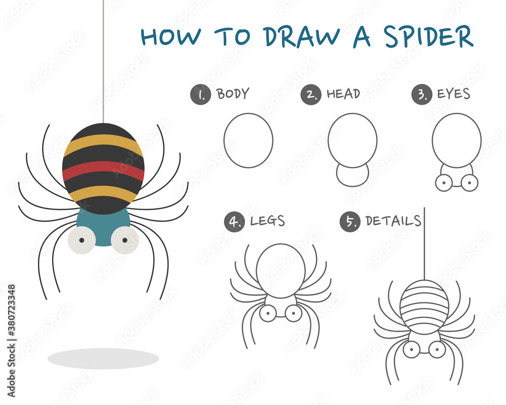 How to Draw a Spider Stock Vector | Adobe Stock