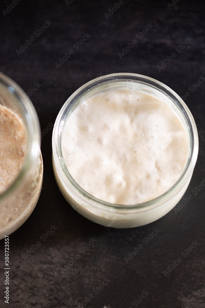 Different sourdough starters in glass Different sourdough starters in glass