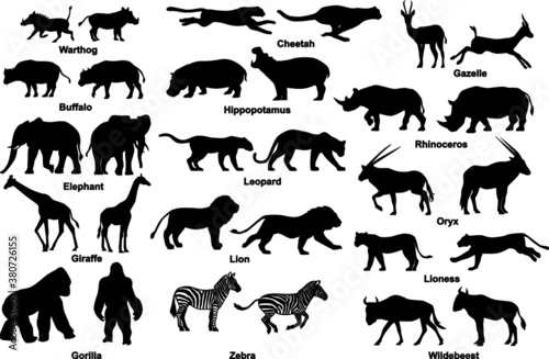 Wildlife African animals safari silhouette isolated set