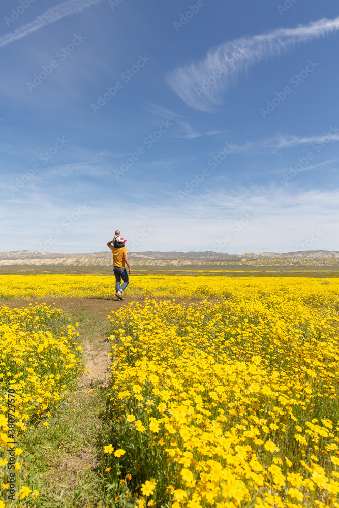 Carrizo Plain Super Bloom Carrizo Plain Super Bloom