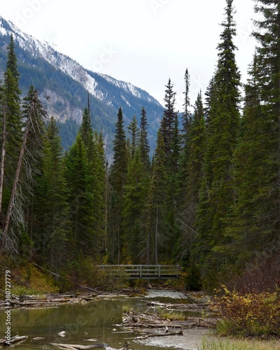A wooden bridge over a stream in the Canadian Rockies
