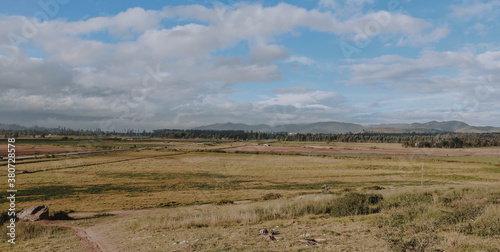 landscape with grass and sky