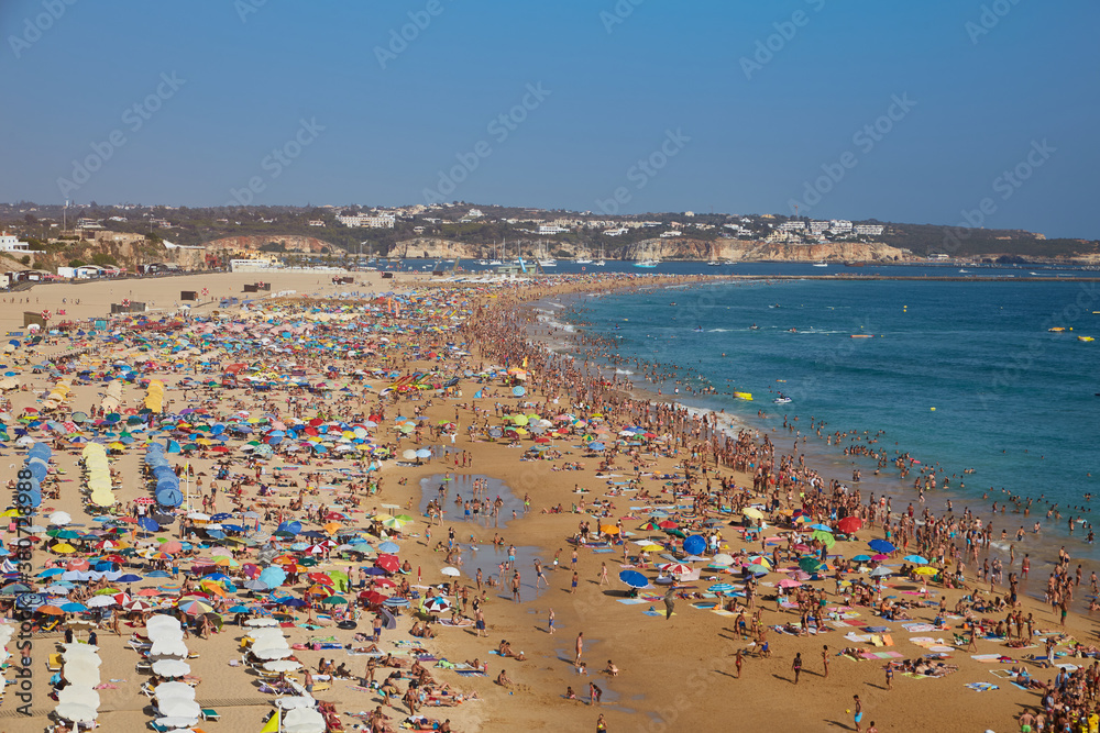 photography of a beach in summer photography of a beach in summer