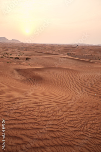 desert photography in dubai © Manuel Rebollar