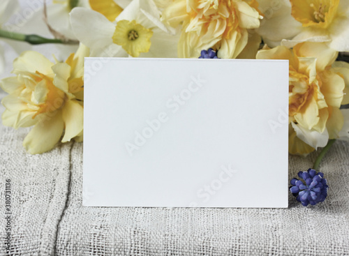 white blank card and a bunch of yellow daffodils. copy space.