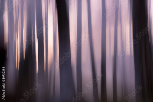 abstract image of trees during fire and sunset photo