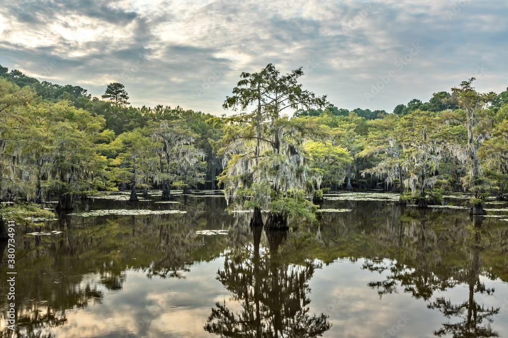 Mystical, fairytale like landscape inthe swamps of the Caddo Lake, Texas Mystical, fairytale like landscape inthe swamps of the Caddo Lake, Texas