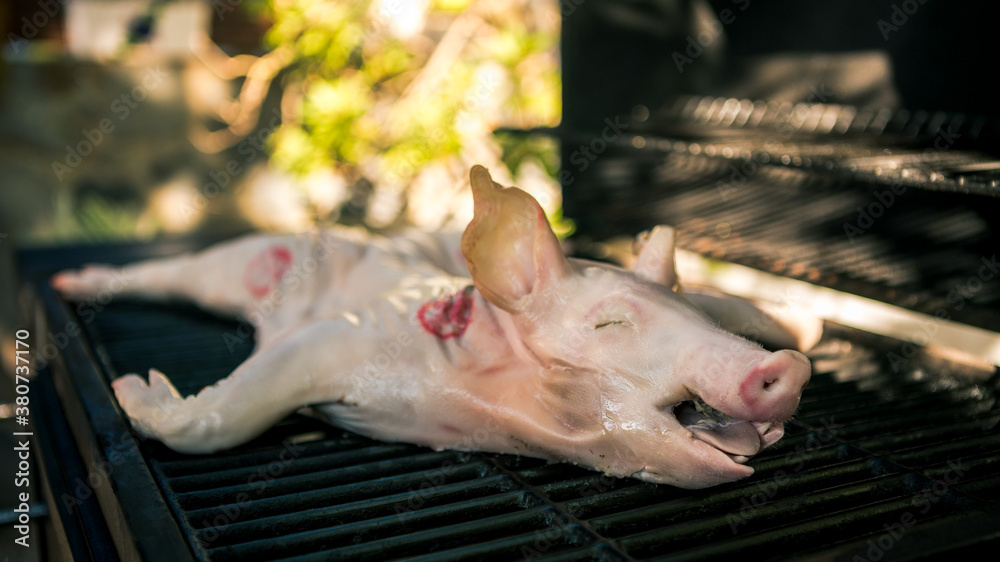 Raw piglet which are being grilled on barbecue. Delicious whole pig over on BBQ Raw piglet which are being grilled on barbecue. Delicious whole pig over on BBQ