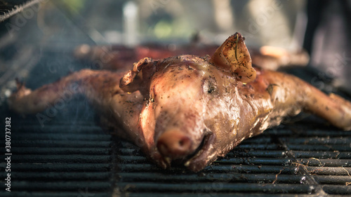 Tasty pork on a barbecue grill. Close up of whole pig cooked grilled meat in BBQ © REC Stock Footage