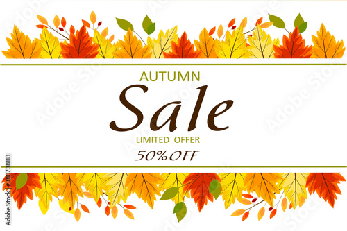 Autumn Sale up to 50%, limited offer. Banner for autumn big discounts. Bright leaves, twigs are collected in a collage. Vector horizontal illustration.
