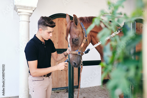 Side view of young busy male equestrian standing in stable using electric razor to shave muzzle of chestnut horse