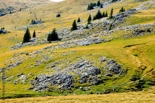 Typical landcsape in the mountains and forests of Transylvania. Bucegi Massif, Carpathian Mountains, Romania