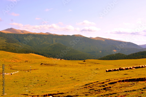 Typical landcsape in the mountains and forests of Transylvania. Bucegi Massif, Carpathian Mountains, Romania