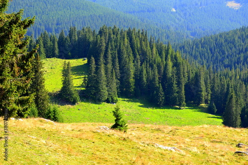 Typical landcsape in the mountains and forests of Transylvania. Bucegi Massif, Carpathian Mountains, Romania