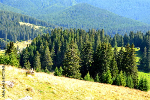 Typical landcsape in the mountains and forests of Transylvania. Bucegi Massif, Carpathian Mountains, Romania