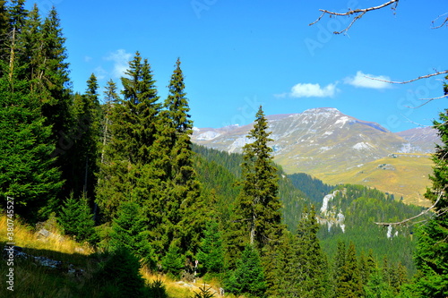 Typical landcsape in the mountains and forests of Transylvania. Bucegi Massif, Carpathian Mountains, Romania
