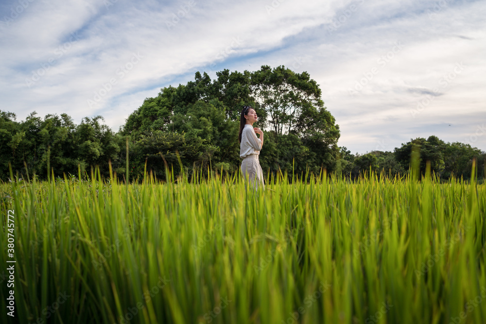 Side view of tranquil ethnic female standing in lush rice field while enjoying summer weekend and looking away Side view of tranquil ethnic female standing in lush rice field while enjoying summer weekend and looking away