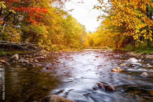 Mountain river through a colourful deciduous forest at the peak of fall foliage on an autumn morning. Wildcat River, Jackson, NH, USA.