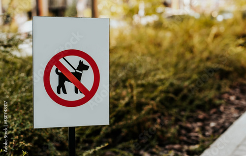sign dog walking is prohibited, close-up