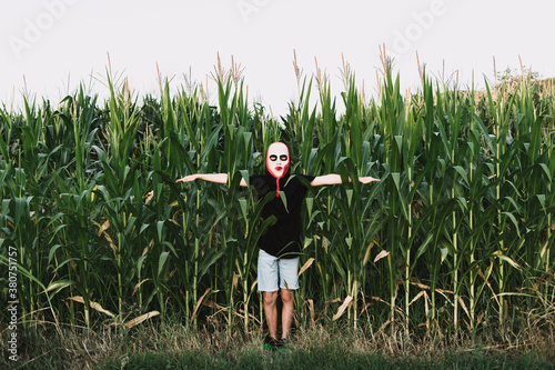 Unrecognizable person wearing masquerade mask and costume standing in cornfield and looking at camera