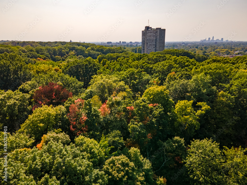 Obraz premium Forested suburbs with changing leaves, a taller building midground and a city downtown in the background