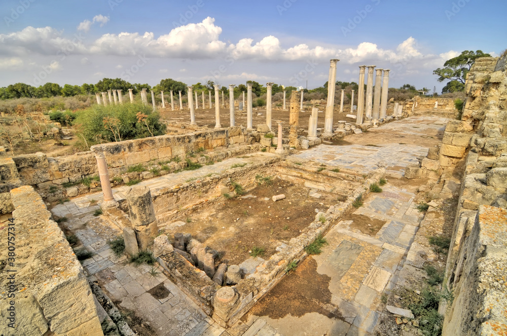 Salamis  - an ancient Greek city-state on the east coast of Cyprus,